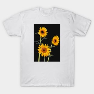 Sunflowers T-Shirt